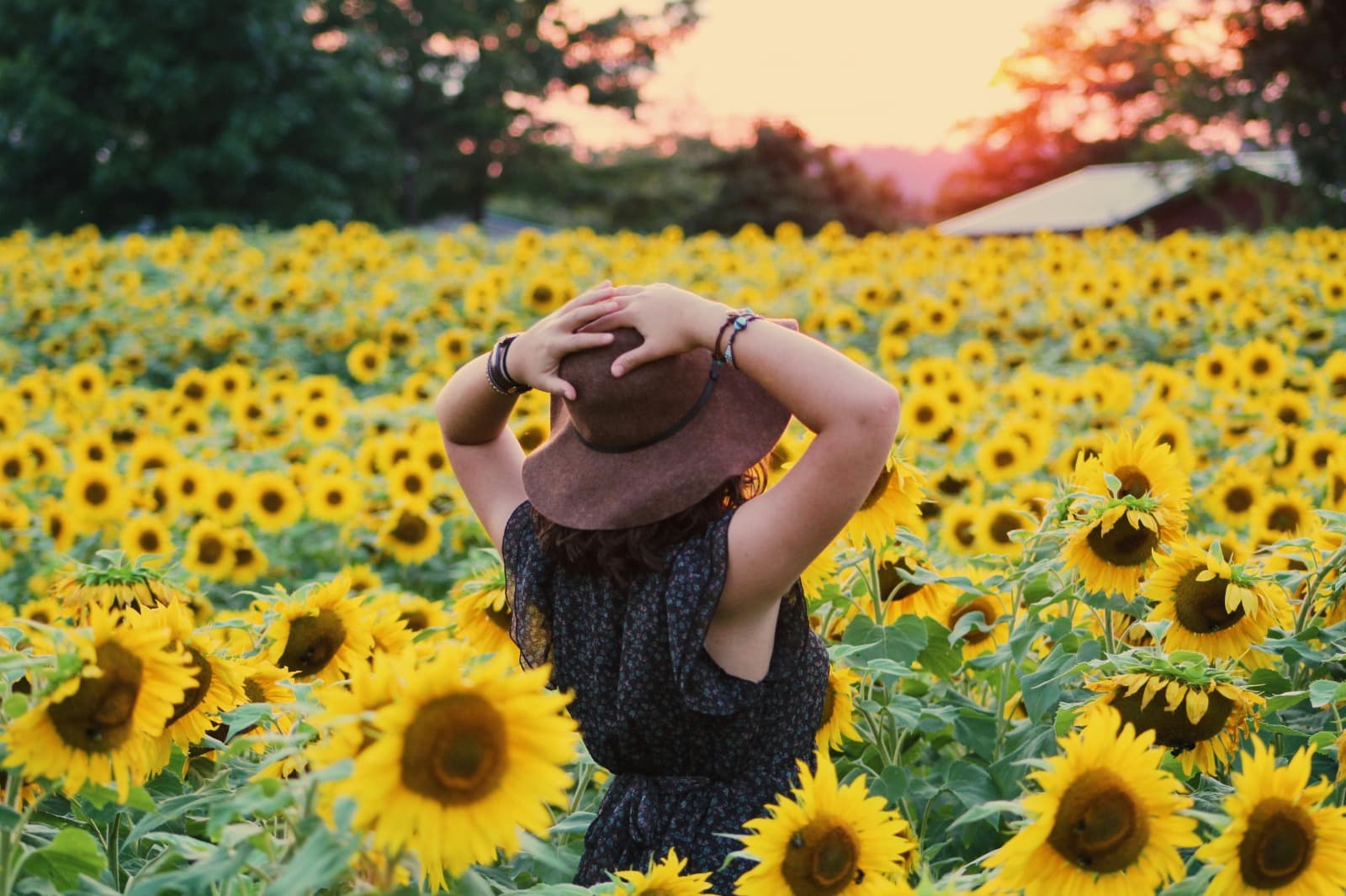Profile picture from Tatiana Gomes