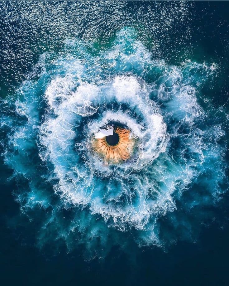 Post's cover